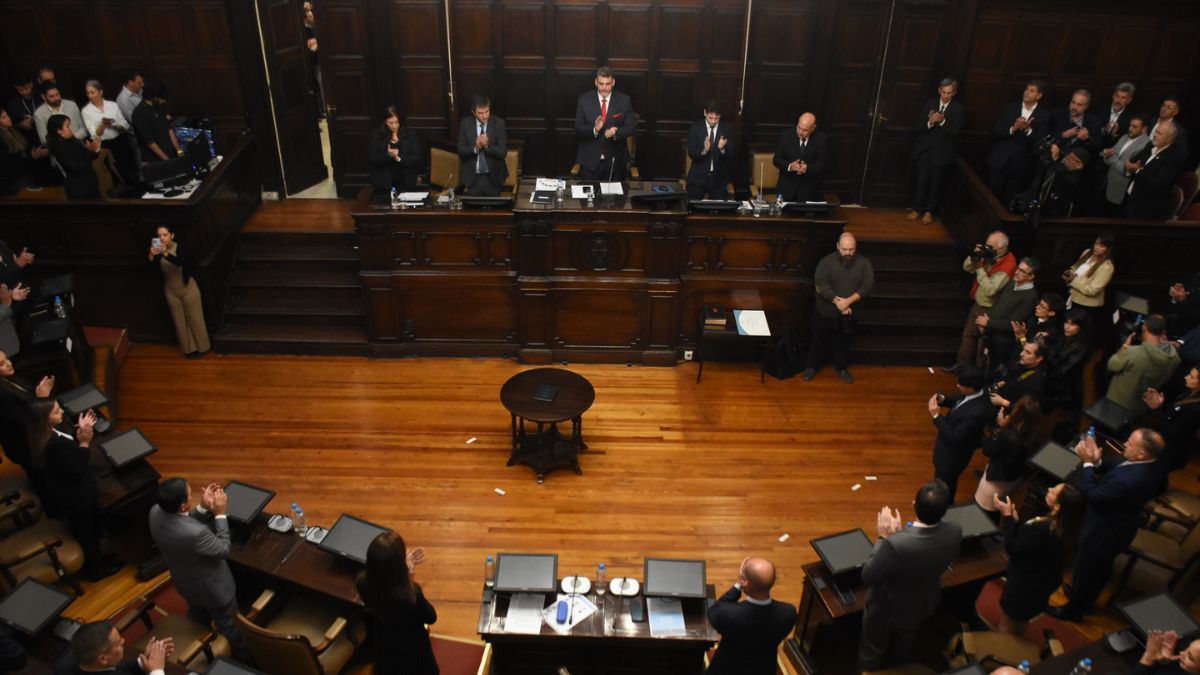 Juraron los nuevos 19 senadores y quedaron conformados 9 bloques políticos. Juraron los nuevos 19 senadores y quedaron conformados 9 bloques políticos.