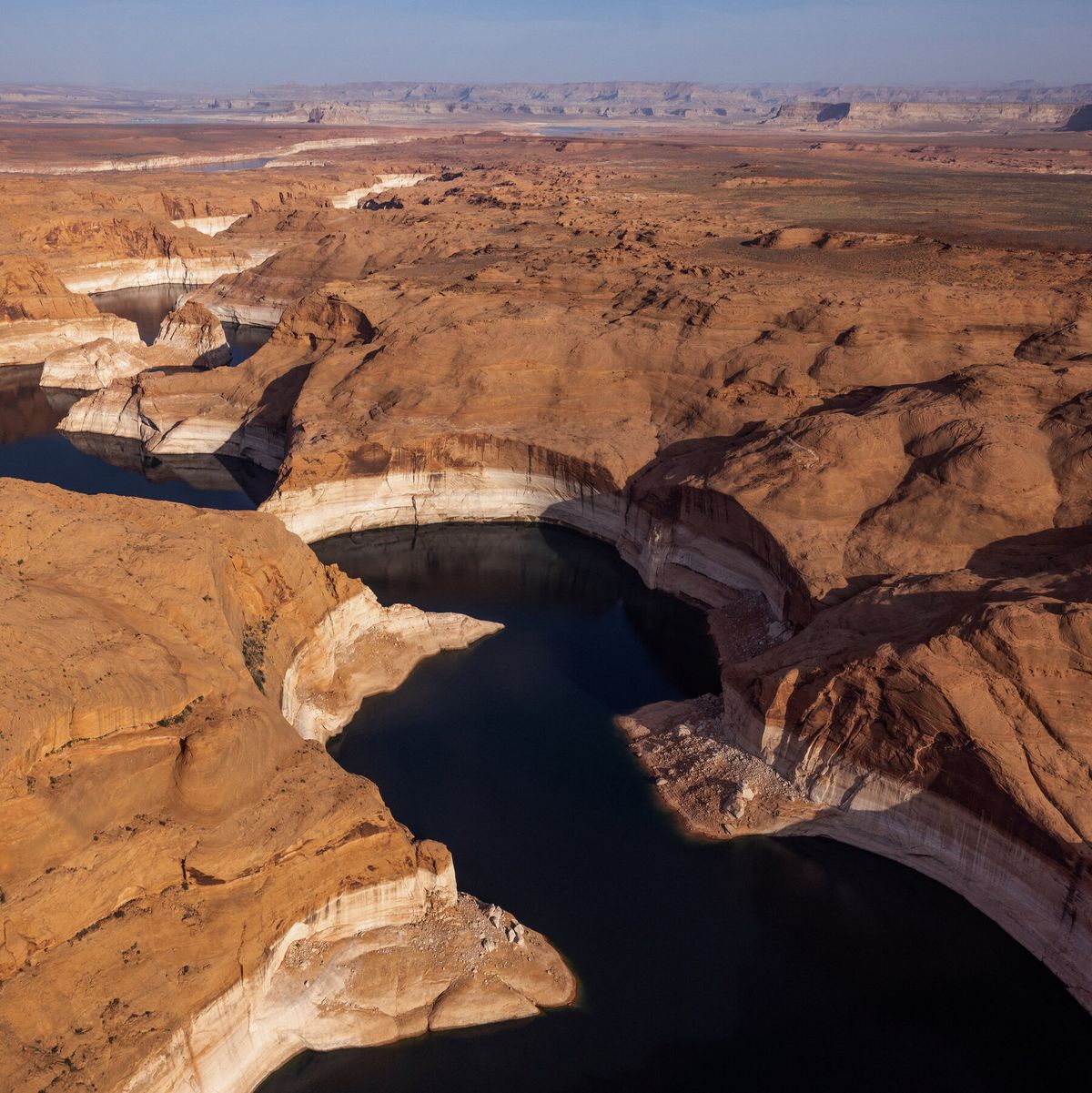 El estudio se enfoc&oacute; en el papel de las plantas en la sequ&iacute;a.