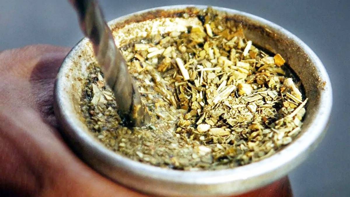 Agregarle gelatina sin sabor al mate aporta numerosos beneficios y fortalece los huesos
