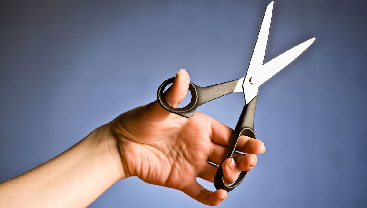 Usa unas tijeras largas y bien afiladas para no dañar las hojas del perejil.  Usa unas tijeras largas y bien afiladas para no dañar las hojas del perejil.