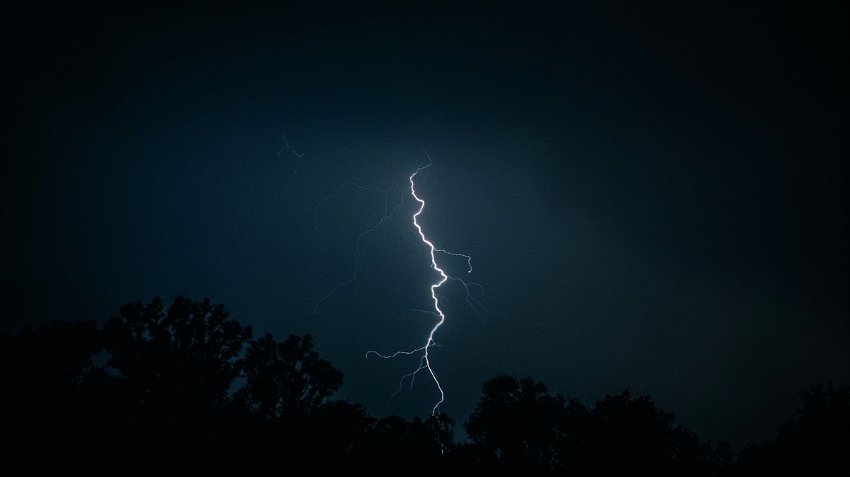 Evita salir durante un alerta Evita salir durante un alerta