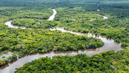 Por qué no hay ni habrá puentes para cruzar el río Amazonas pese a que se puede atravesar a pie