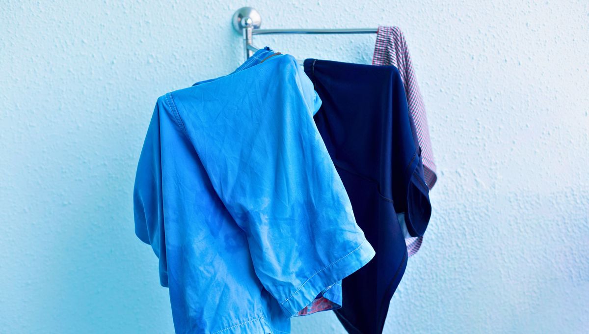 Hoy te voy a compartir un truco para que puedas evitar estos problemas de ropa en invierno y, de paso, cuidar tu ropa con la llegada del frío. Hoy te voy a compartir un truco para que puedas evitar estos problemas de ropa en invierno y, de paso, cuidar tu ropa con la llegada del frío.