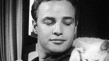 La película que casi arruina la carrera de Marlon Brando