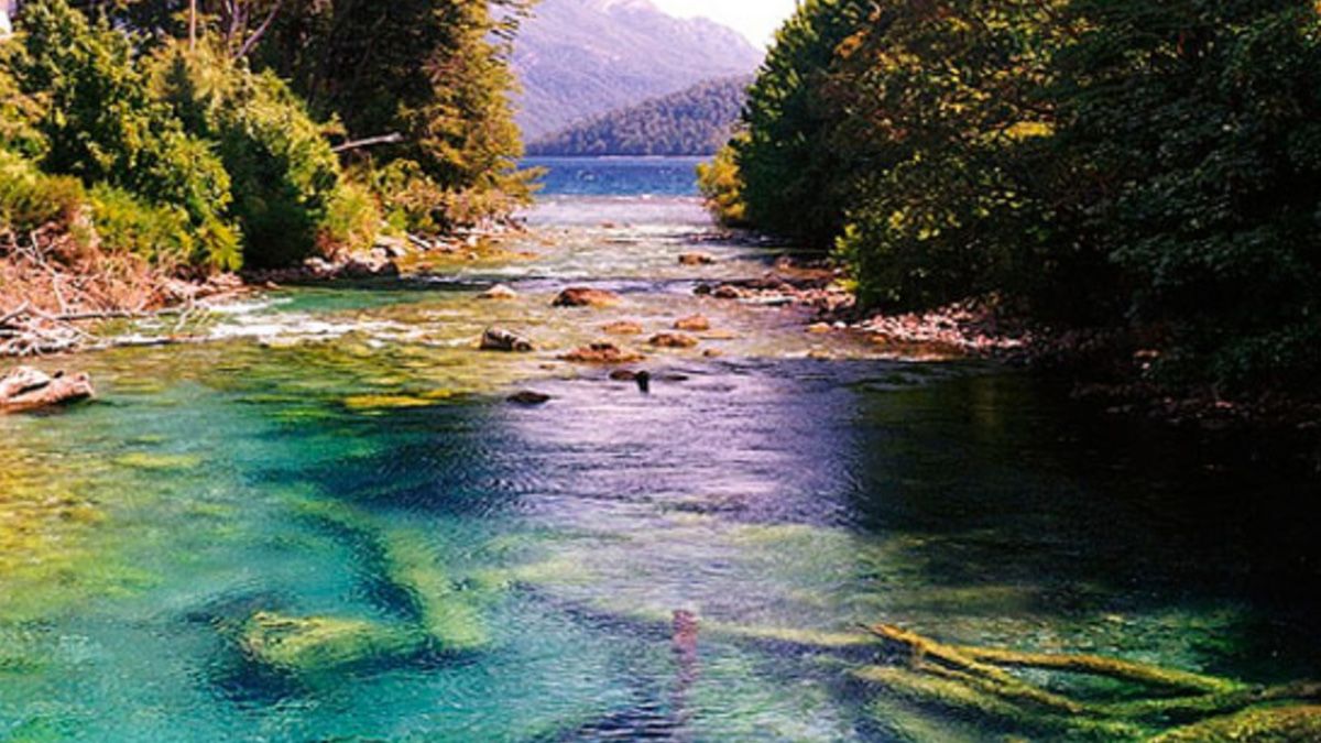 La pesca deportiva continental en la Patagonia está permitida desde el 1° de noviembre hasta el 1° de mayo La pesca deportiva continental en la Patagonia está permitida desde el 1° de noviembre hasta el 1° de mayo