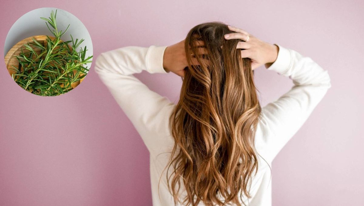 Cómo usar la planta de romero para eliminar la caspa y fortalecer el cabello