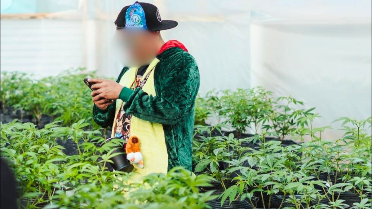 Uno de los condenados por el contrabando de cannabis -se pixela su rostro por pedido judicial-.
