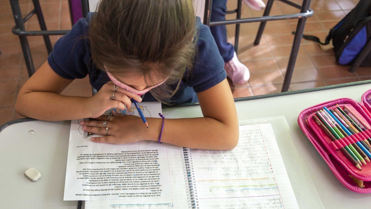 Se espera hasta 3&deg; para evaluar la alfabetizaci&oacute;n de los alumnos, contando a 1&deg; y 2&deg; como un mismo ciclo acad&eacute;mico.