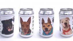 Una marca de cerveza hizo una campaña en sus latas para encontrar una perrita perdida