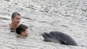 El delfín que conquistó a los visitantes de una playa alemana