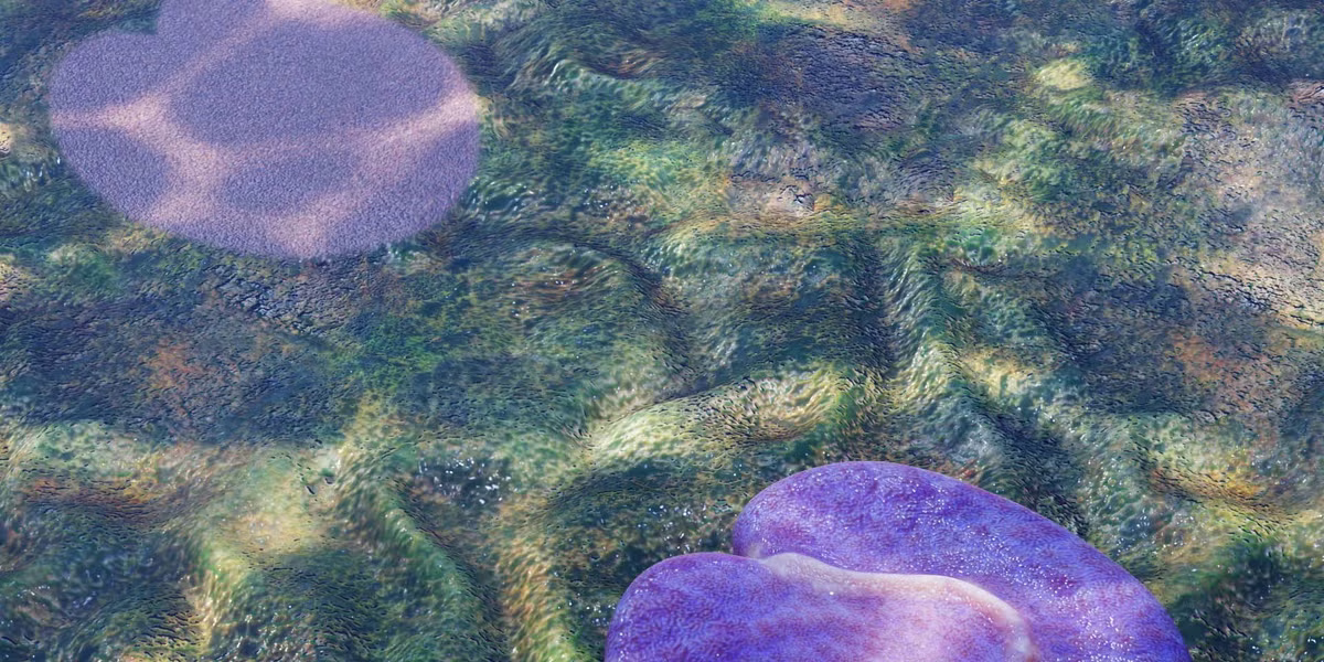 Paleontólogos descubren a uno de los animales más antiguos del mundo: tendría 555 millones de años Paleontólogos descubren a uno de los animales más antiguos del mundo: tendría 555 millones de años