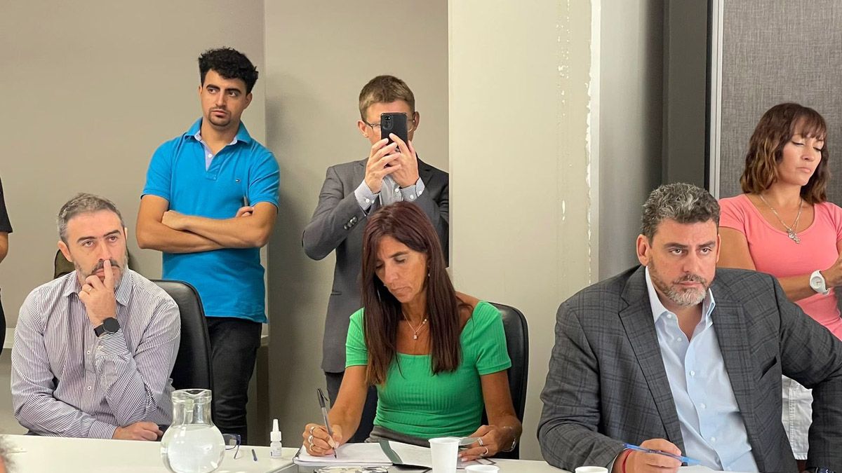 Natacha Einsechlas durante el tratamiento en comisión de la ley de digitalización del sistema de salud. A su lado Martín Kerchner, quien también defendió el proyecto.