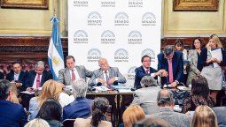 Aborto: no hubo dictamen y sólo se debatirá el proyecto de Diputados