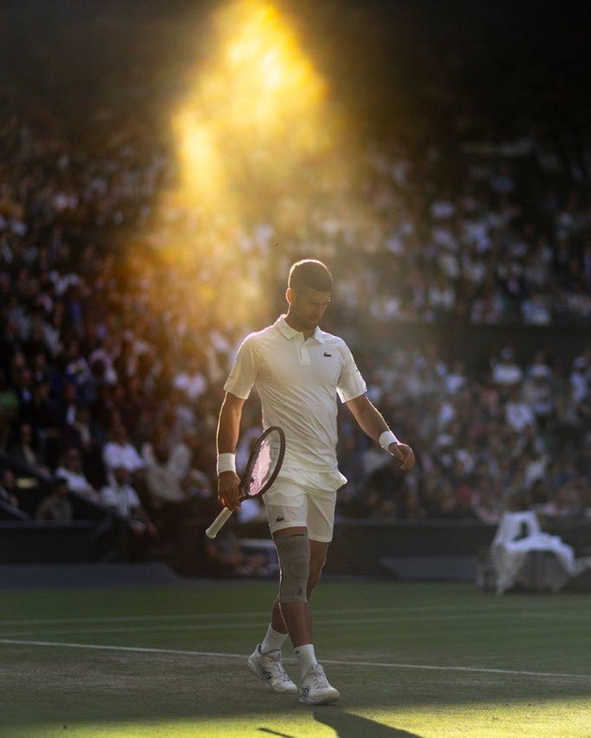 Novak Djokovic Pasó Sin Jugar A Las Semifinales De Wimbledon Por La Lesión De Alex De Miñaur 9637