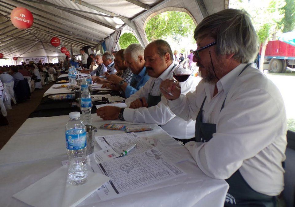 Altos puntajes para los vinos evaluados en la Ucovin 2016