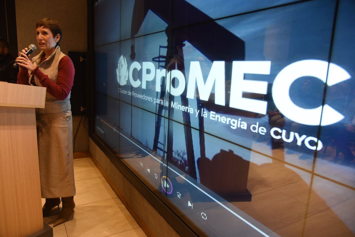 Jimena Latorre, ministra de Ambiente y Energía. Jimena Latorre, ministra de Ambiente y Energía.