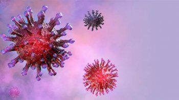 Estudian si la ivermectina puede eliminar el coronavirus en 48 horas