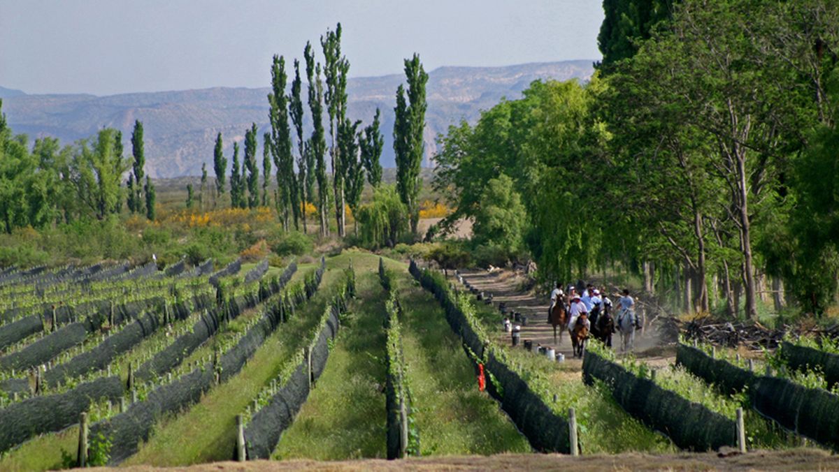Las vacaciones de invierno 2022 invitan a visitar bodegas de toda la Provincia de Mendoza.