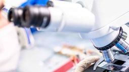 Describieron las alteraciones del ADN que impulsan el cáncer en las células