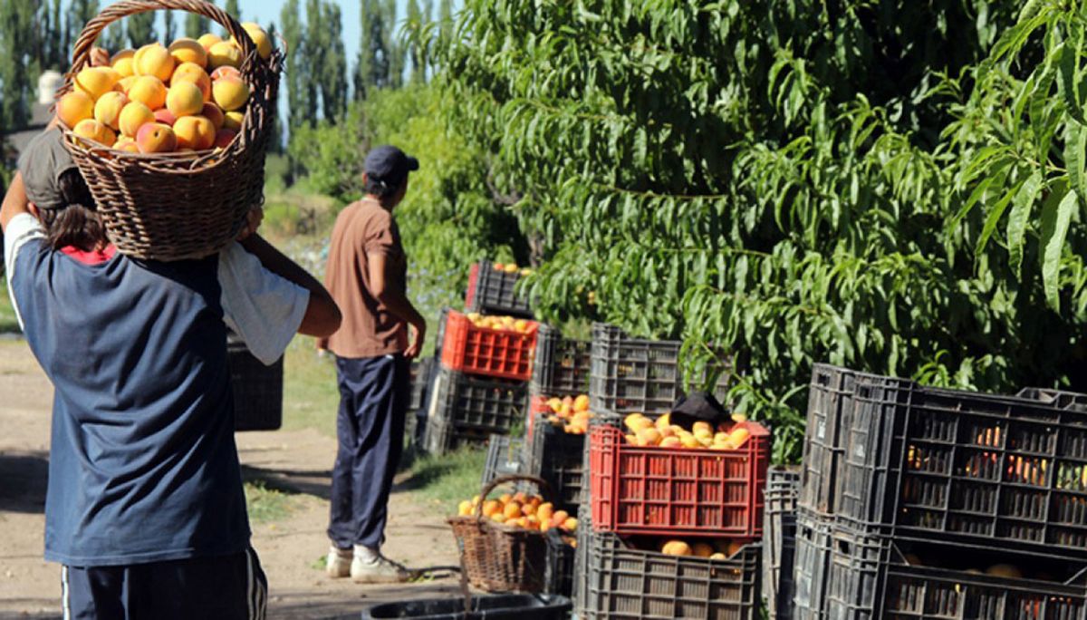 El durazno, otro producto local de bajo precio. El durazno, otro producto local de bajo precio.