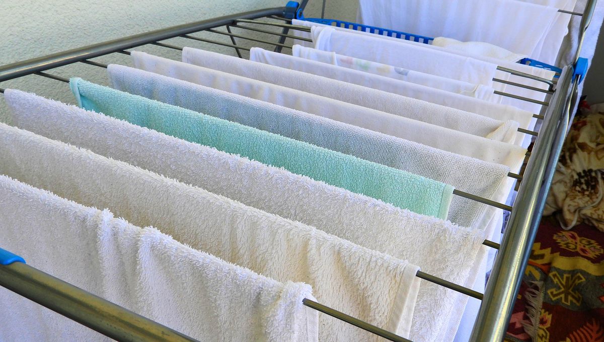 Normalmente, secamos la ropa dentro de casa, en un tender o alambre de pared. Normalmente, secamos la ropa dentro de casa, en un tender o alambre de pared. 