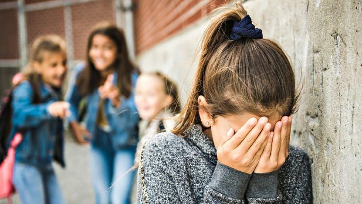 La DGE diseñó un plan para que las escuelas actúen en casos de bullying. La DGE diseñó un plan para que las escuelas actúen en casos de bullying.