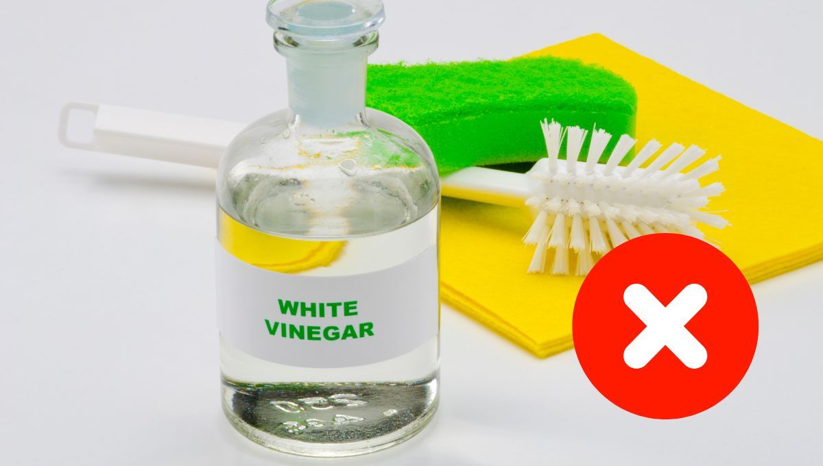 El vinagre tiene que usarse siempre diluido. El vinagre puro puede ser muy invasivo e intenso para algunas superficies. El vinagre tiene que usarse siempre diluido. El vinagre puro puede ser muy invasivo e intenso para algunas superficies. 