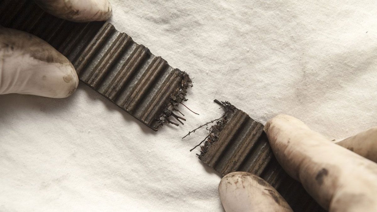 Correa de distribución del auto: cada cuantos kilómetros se le cambia