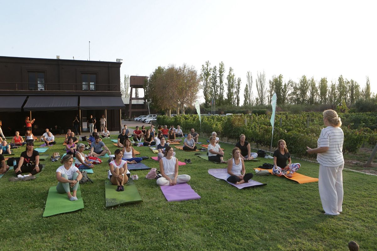 La mágica experiencia Yoga por los Caminos del Vino se concretará este sábado en Antigal