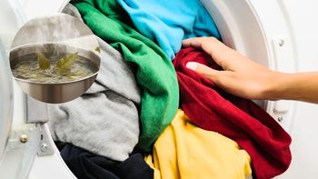 Cuántas hojas de laurel hervir para recuperar el color de la ropa y evitar que se destiña