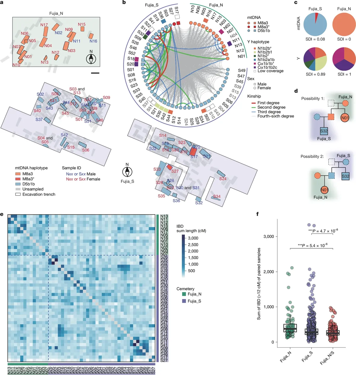 Se encontraron casi una decena de tumbas en China. Se encontraron casi una decena de tumbas en China.