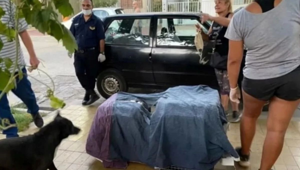 Terror en San Juan: una mujer mataba perros y gatos para absorber sus energías y vivir más