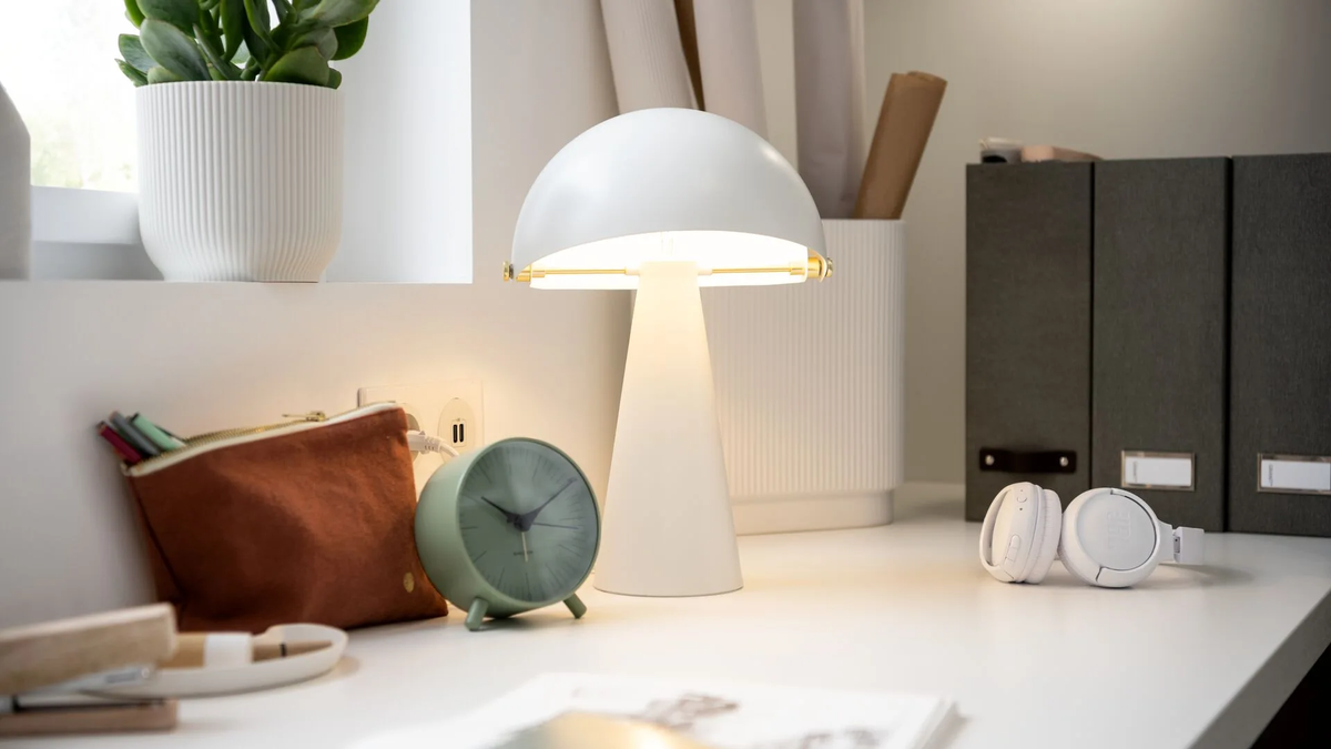 Con una lámpara de escritorio, puedes dejar atrás a este problema de plagas en tu casa. Con una lámpara de escritorio, puedes dejar atrás a este problema de plagas en tu casa.