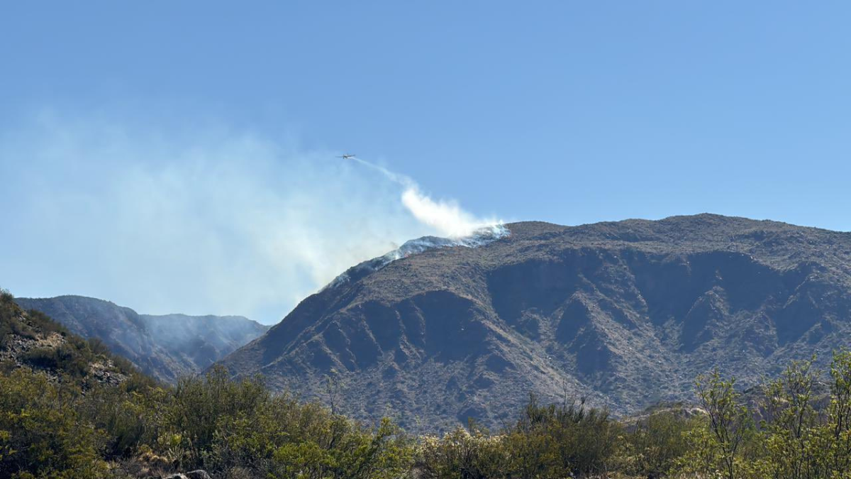 Brigadistas del Plan Provincial del Manejo de Fuego y Defensa Civil trabajaron desde el lunes para combatir las llamas.
