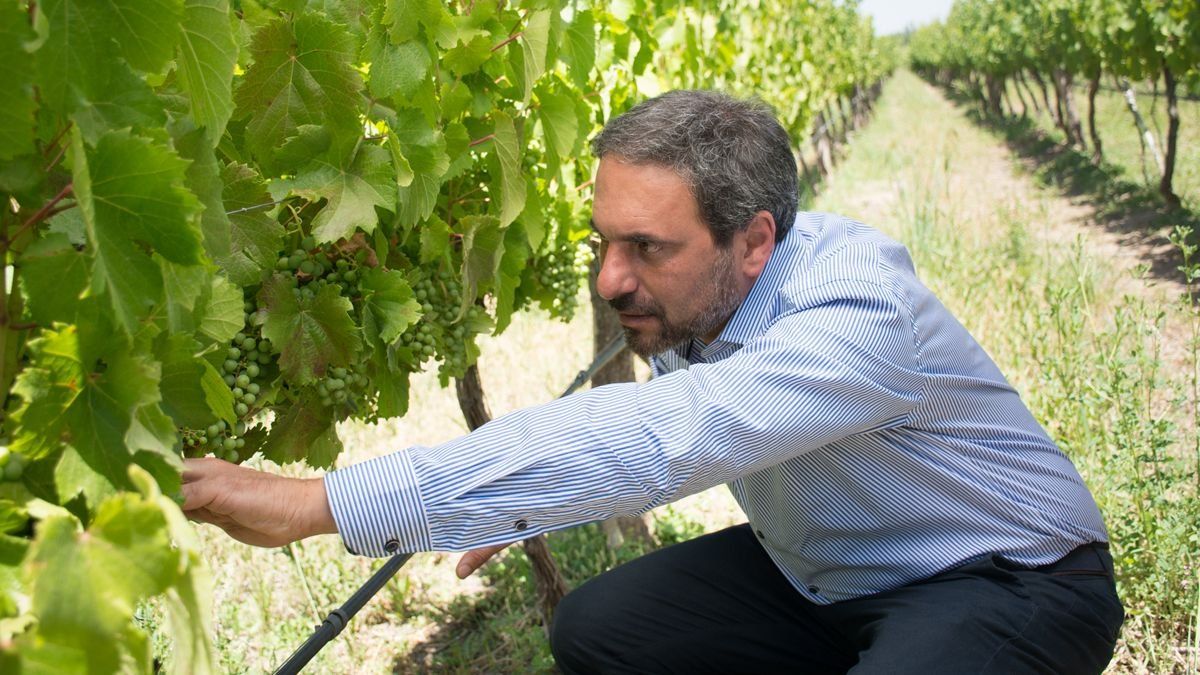 El titular del INV analizó la vitivinicultura en un contexto de menor producción y guerra