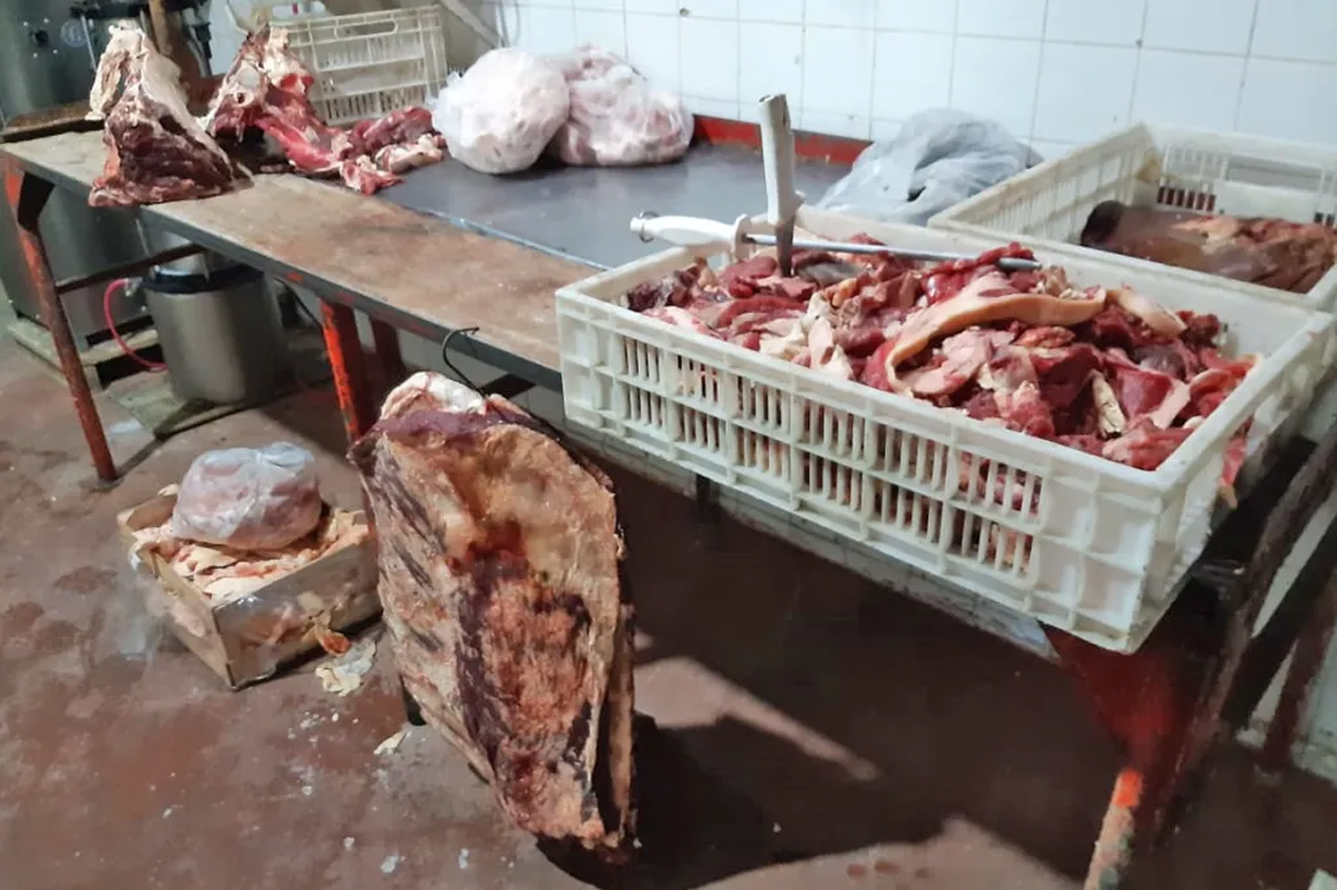 Allanaron una carnicería acusada de vender carne de gato