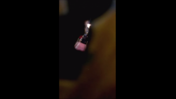 Video: graban un exorcismo en una iglesia