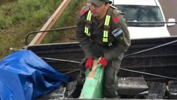 Secuestraron más de 5.000 kilos de marihuana en Misiones