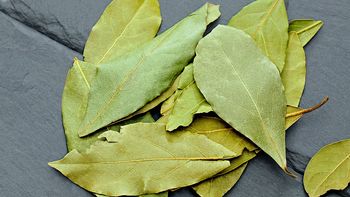 Hoja de laurel: el amuleto de la suerte para el miércoles 17 de diciembre Hoja de laurel: el amuleto de la suerte para el miércoles 17 de diciembre
