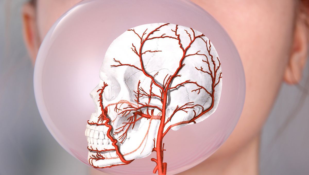 Masticar bien no es solo una recomendación de nuestras abuelas para no atragantarnos; es, en realidad, un hábito esencial que protege el cerebro de la persona a corto y largo plazo. Masticar bien no es solo una recomendación de nuestras abuelas para no atragantarnos; es, en realidad, un hábito esencial que protege el cerebro de la persona a corto y largo plazo.