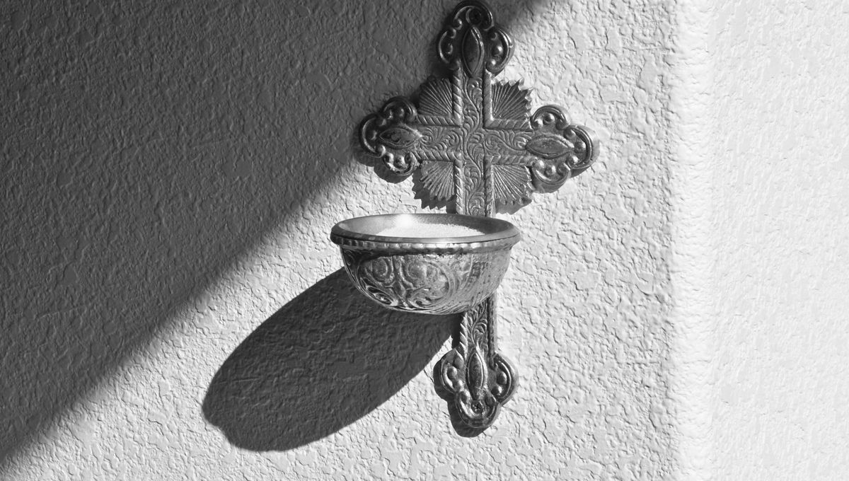 Una de las formas de proteger este árbol frutal es rociarlo con agua bendita. Una de las formas de proteger este árbol frutal es rociarlo con agua bendita.