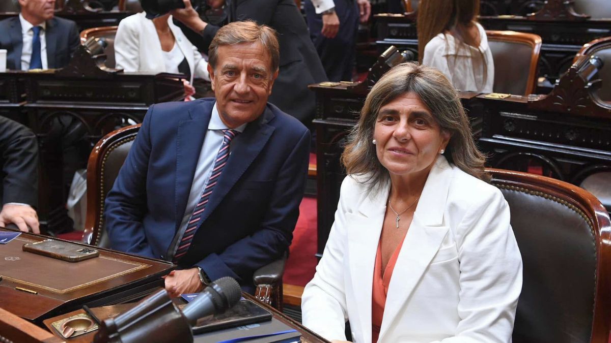 Los senadores de la UCR