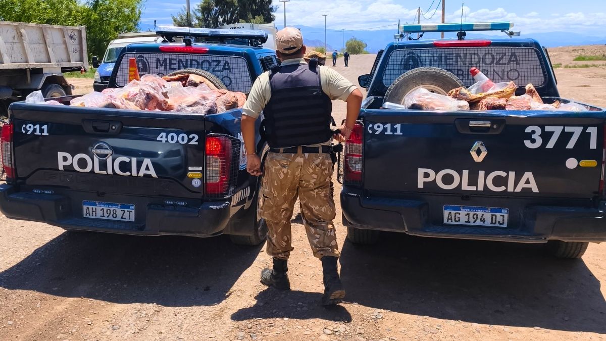 En allanamientos en 2 carnicerías por productos en mal estado encontraron carne de caballo