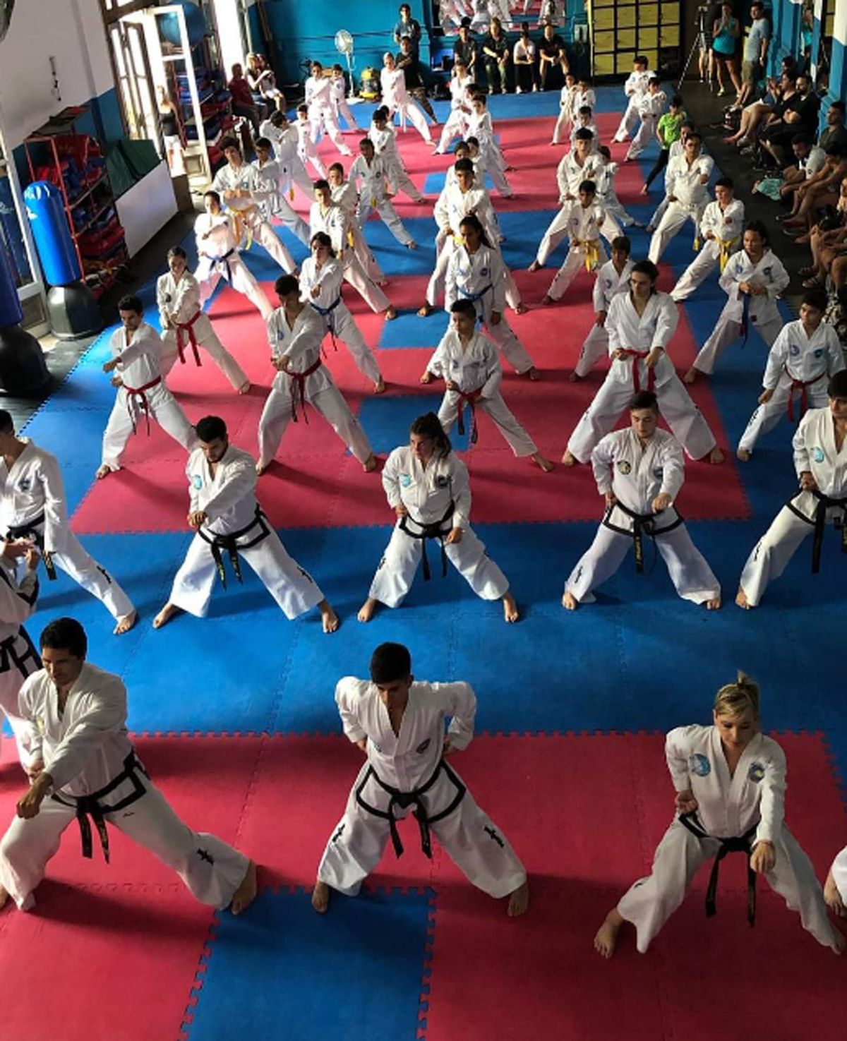 La Copa Ciudad de Mendoza de Taekwondo reunirá a unos 350 competidores en el Polimeni. La Copa Ciudad de Mendoza de Taekwondo reunirá a unos 350 competidores en el Polimeni.