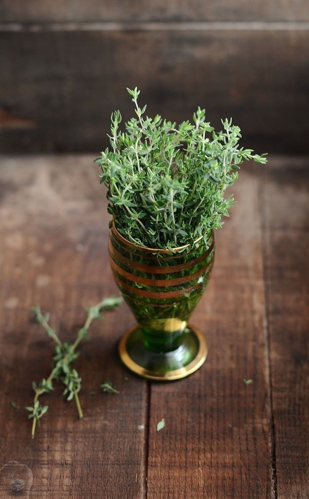 El tomillo brinda mayor protección al hogar y a sus integrantes. El tomillo brinda mayor protección al hogar y a sus integrantes.