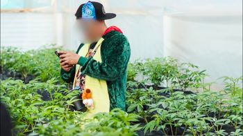 Tres activistas del cannabis buscan revertir una condena por contrabandear 300.000 dólares en semillas Tres activistas del cannabis buscan revertir una condena por contrabandear 300.000 dólares en semillas