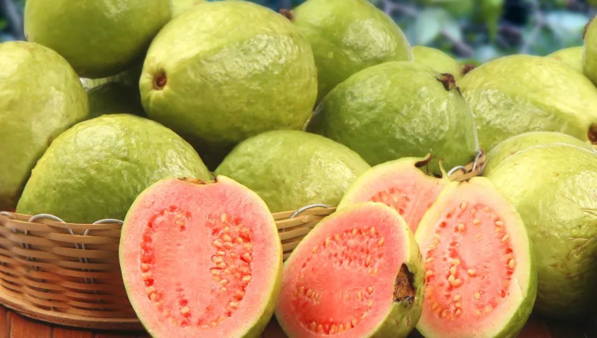 Esta fruta aporta siete veces más vitamina C que la naranja o el limón. Esta fruta aporta siete veces más vitamina C que la naranja o el limón.