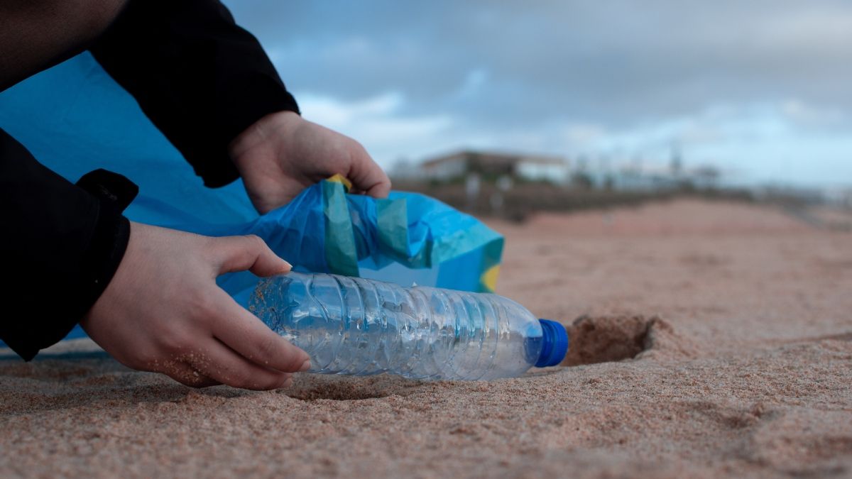 Foto: Pexels Foto: Pexels