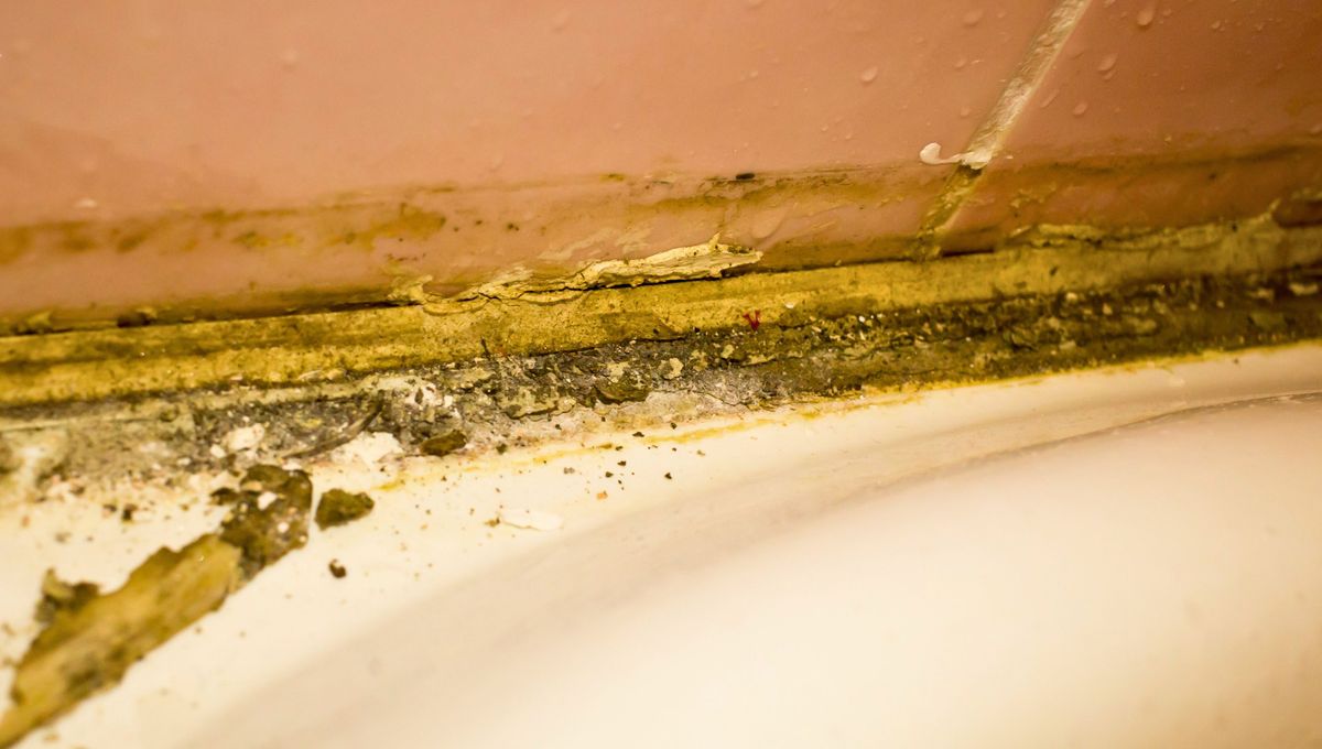 La cortina de la ducha es uno de esos objetos del ba&ntilde;o que juntan mugre sin que lo notemos.