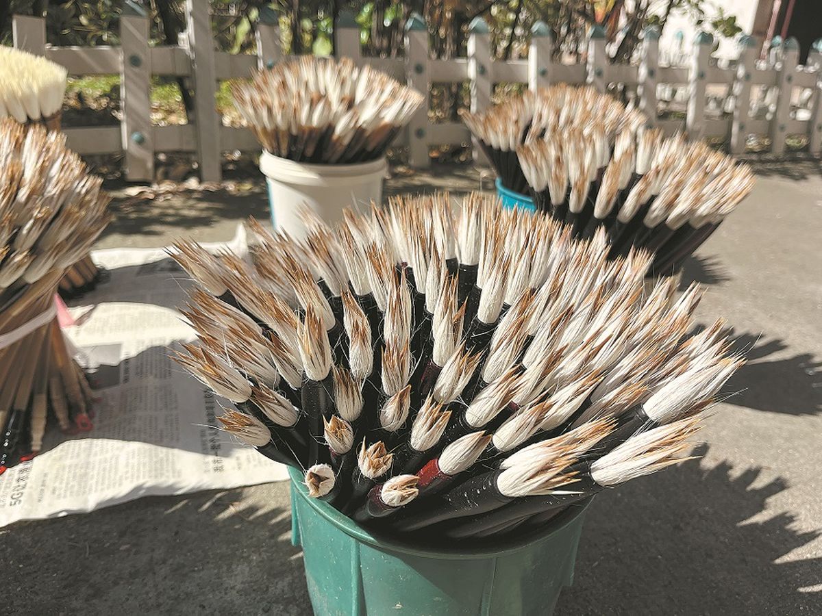 Lleva entre 25 y 30 días hacer un pincel caligráfico de Huzhou. YANG YANG / CHINA DAILY Lleva entre 25 y 30 días hacer un pincel caligráfico de Huzhou. YANG YANG / CHINA DAILY